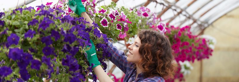 Horticulture Vocational Courses